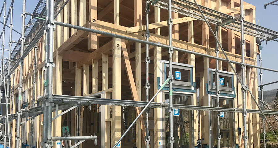 建物全体